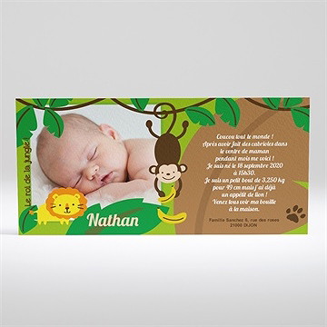 Faire-part naissance notre petit singe
