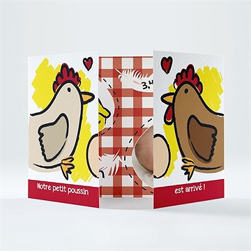 Faire-part naissance notre petite poule