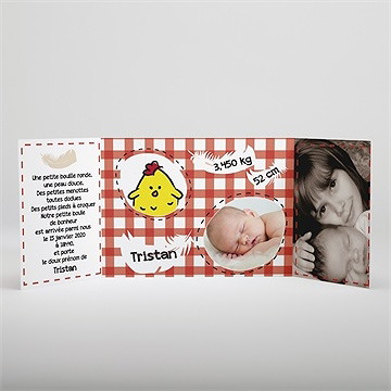 Faire-part naissance notre petite poule - Intérieur du faire-part