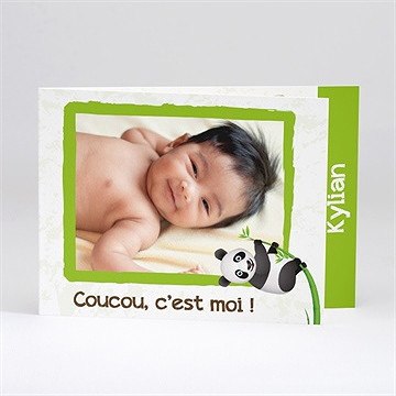 Faire-part naissance faire part panda photo