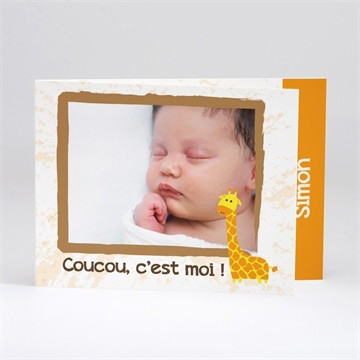 Faire-part naissance