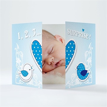 Faire-part naissance faire-part naissance