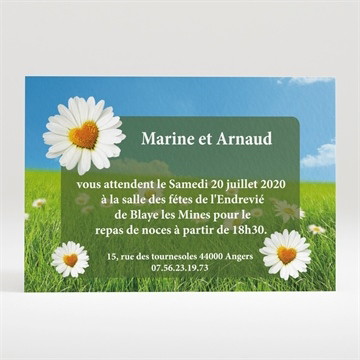 Carton d'invitation mariage notre mariage est dans le pré