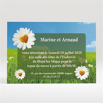 Carton d'invitation mariage notre mariage est dans le pré