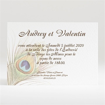Carton d'invitation mariage plume enchantée