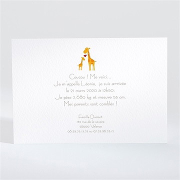 Faire-part naissance notre petite girafe - Dos du faire-part