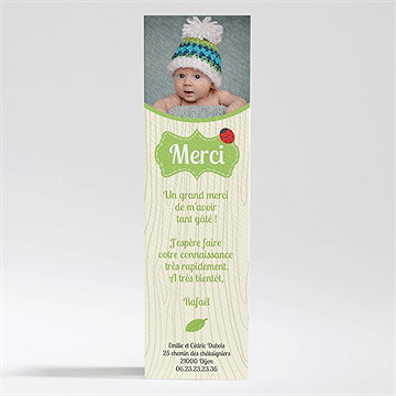 Remerciement naissance bannières en folie