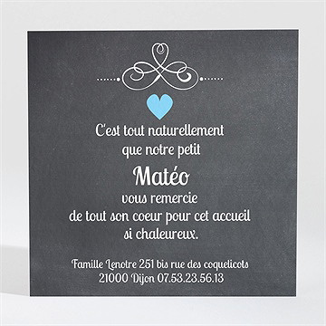 Remerciement naissance petit sorbet