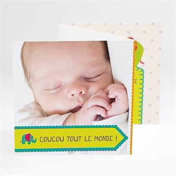 Faire-part naissance faire-part naissance