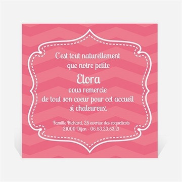 Remerciement naissance réf. N30053