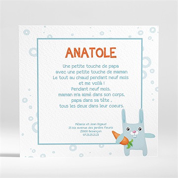 Faire-part naissance lapin carotte - Dos du faire-part