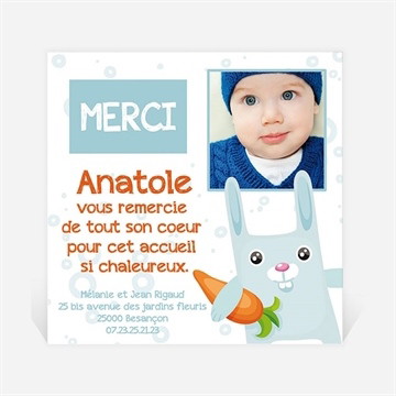 Remerciement naissance lapin carotte
