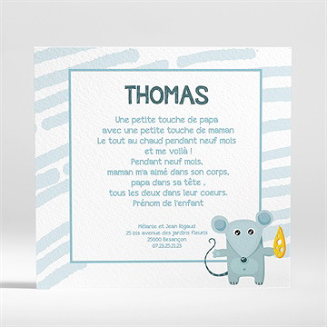 Faire-part naissance souriceau - Dos du faire-part