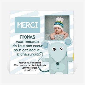 Remerciement naissance souriceau