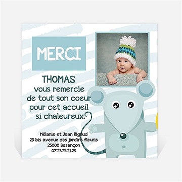 Remerciement naissance souriceau
