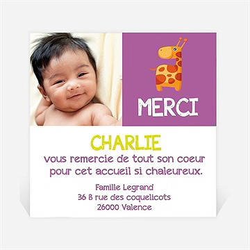 Remerciement naissance ma jolie girafe