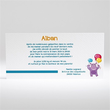 Faire-part naissance petite frimousse à embrasser - Dos du faire-part