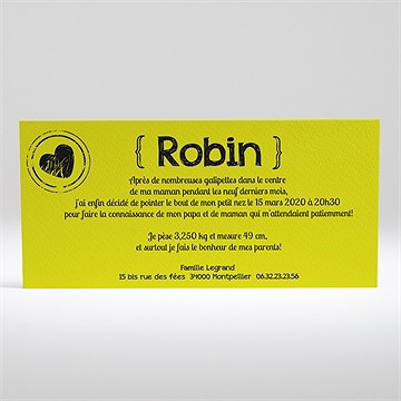 Faire-part naissance pictogrammes sur photo - Dos du faire-part