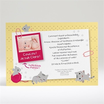 Faire-part naissance petites souris