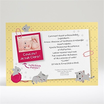 Faire-part naissance petites souris
