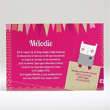 Faire-part naissance ma petite mélodie - Dos du faire-part