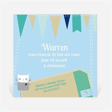 Remerciement naissance petit chaton photo