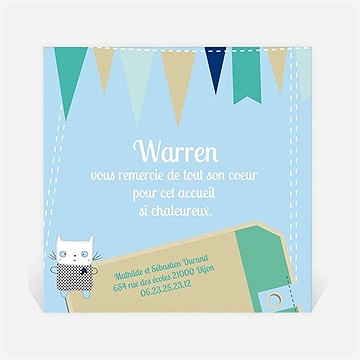 Remerciement naissance petit chaton photo