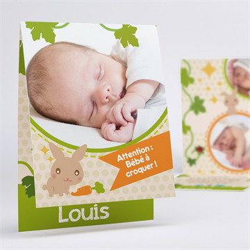 Faire-part naissance lapin et carotte mignon