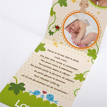 Faire-part naissance lapin et carotte mignon - Faire-part ouvert