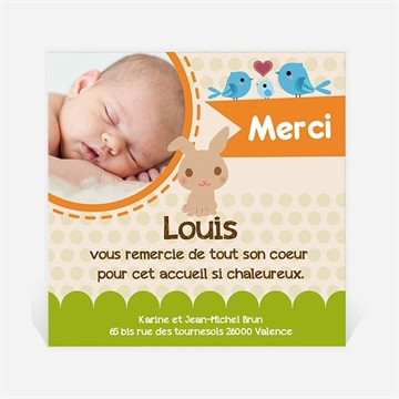 Remerciement naissance lapin et carotte mignon