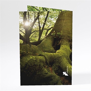 Menu mariage marions nous dans les bois - Dos du menu