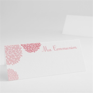 Marque-place communion colombe et fleurs