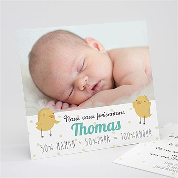 Faire-part naissance petits oiseaux