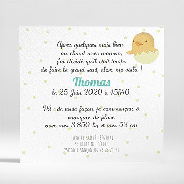 Faire-part naissance petits oiseaux - Dos du faire-part