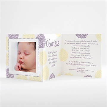 Faire-part naissance motifs fleuris et originaux - Intérieur du faire-part