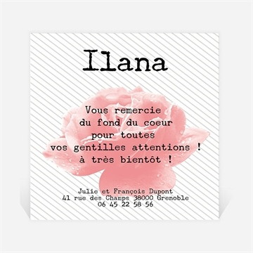 Remerciement naissance dans une rose