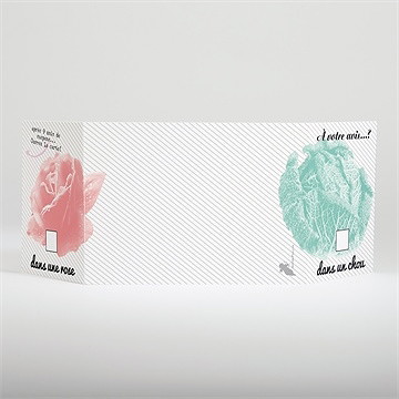 Faire-part naissance dans un chou - Dos du faire-part