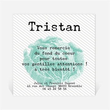 Remerciement naissance dans un chou