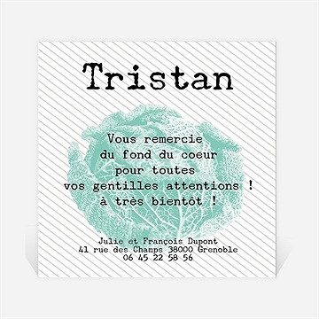 Remerciement naissance dans un chou