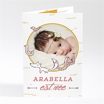 Faire-part naissance faire part photo