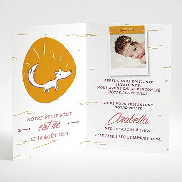 Faire-part naissance faire part photo - Intérieur du menu