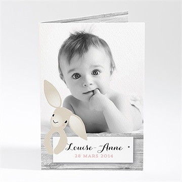 Faire-part naissance jolie peluche photo