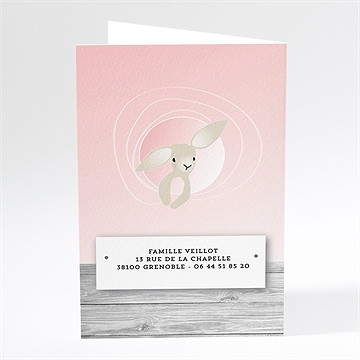 Faire-part naissance jolie peluche photo - Dos du faire-part