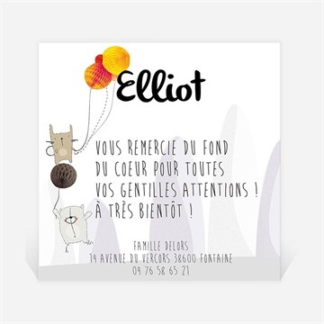 Remerciement naissance du pur bonheur