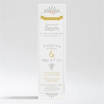 Faire-part naissance cascade de photos - Dos du faire-part