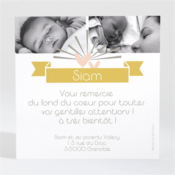 Remerciement naissance cascade de photos