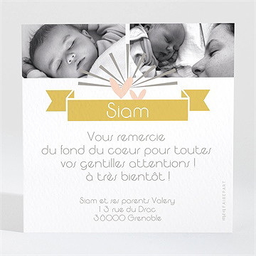 Remerciement naissance cascade de photos