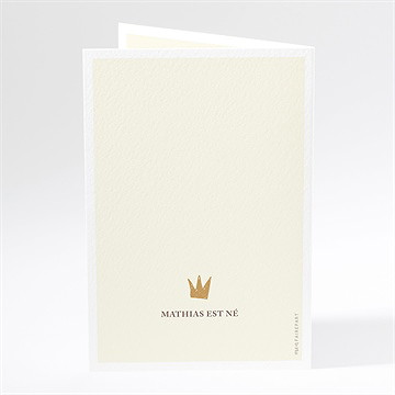 Faire-part naissance le roi lion - Dos du faire-part