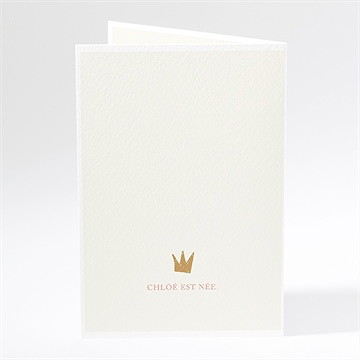 Faire-part naissance nos petits éléphants - Dos du faire-part