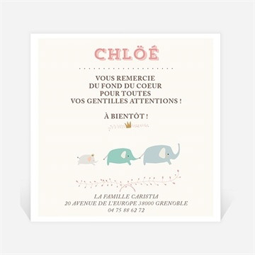 Remerciement naissance nos petits éléphants